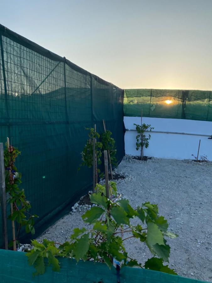 Amato Holiday home Mandrakia